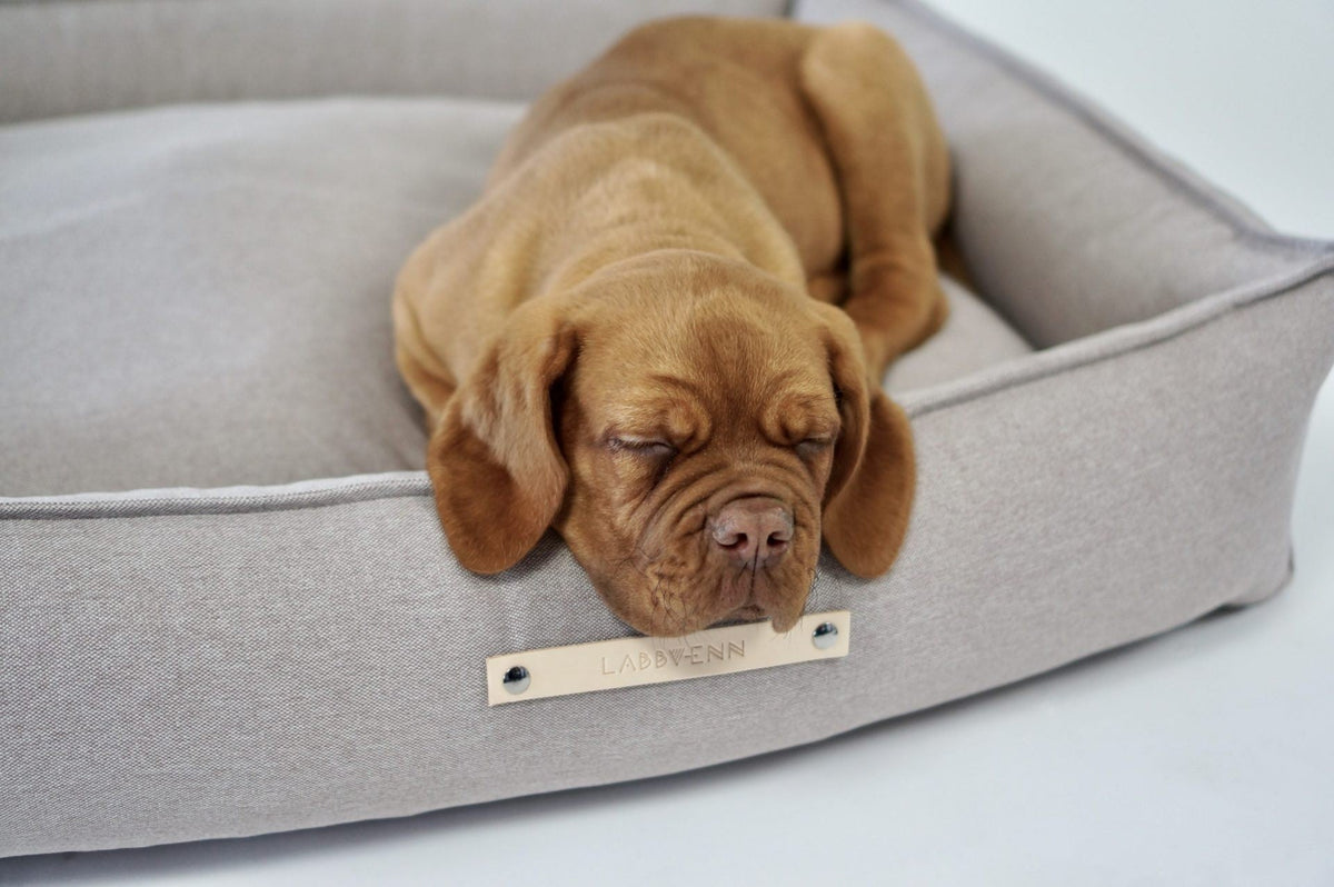 Töve Dog Bed - Nut 
