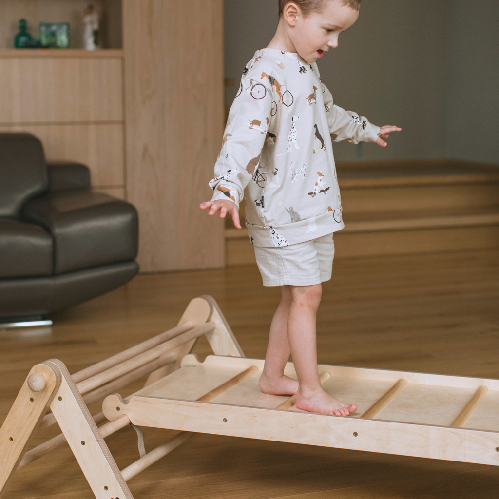 MOPITRI® Kletterdreieck, 4 Segmente, mit Rutsche