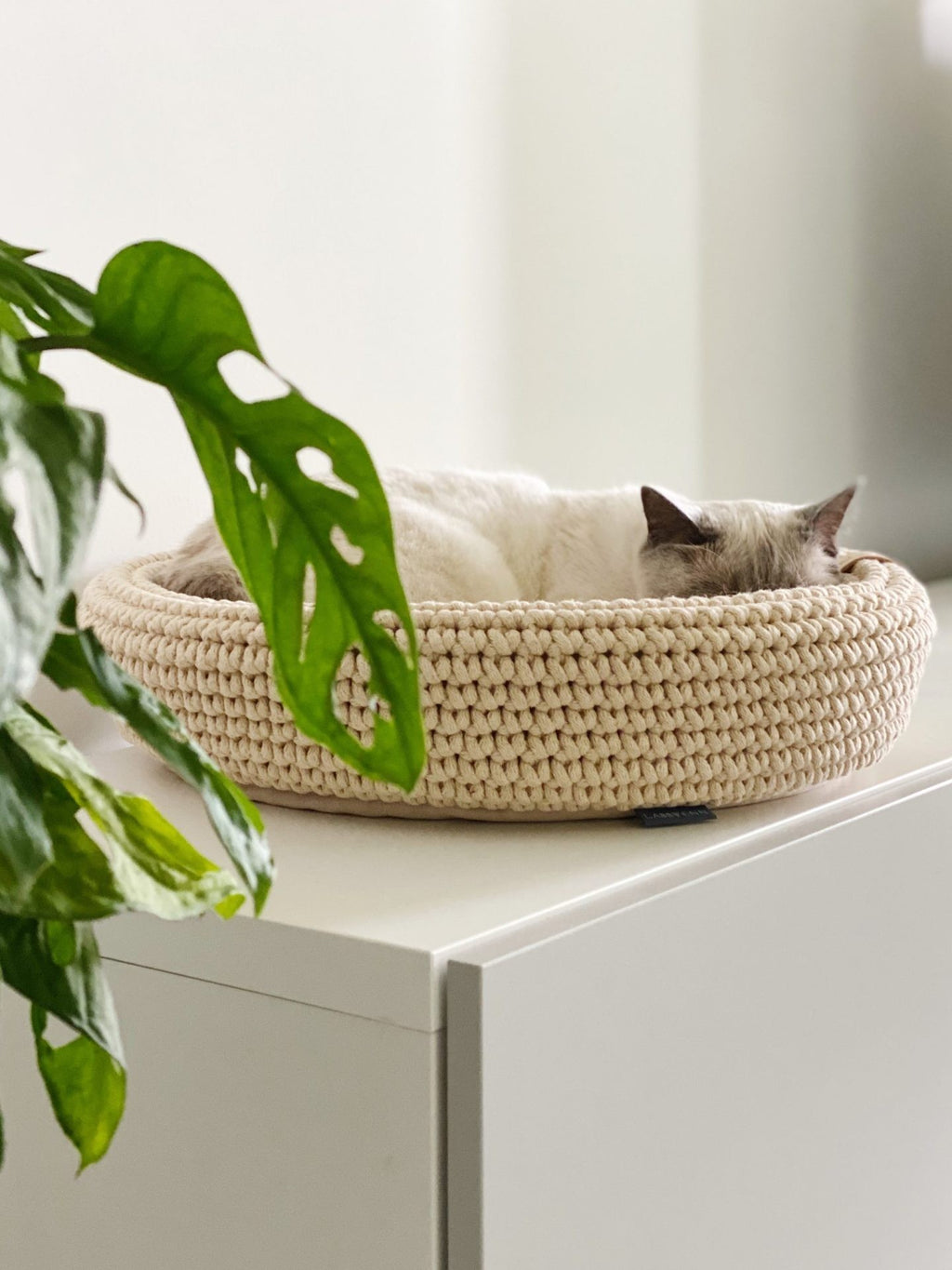 Coco Cat & Dog Bed in beige, side view