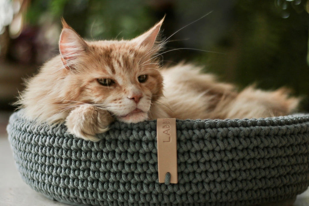 Coco Cat & Dog Bed in green, side view