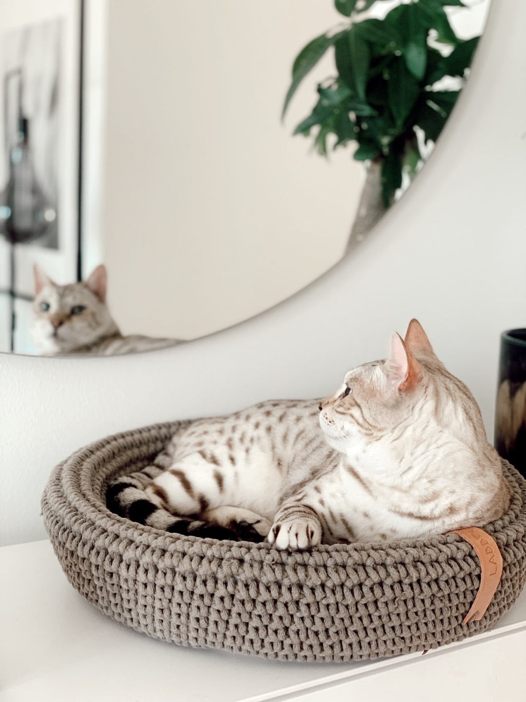 Coco Cat & Dog Bed in light brown, side view