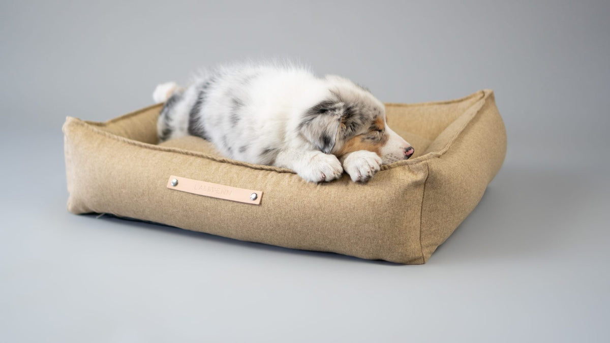 Møvik Hundebett – Biscuit