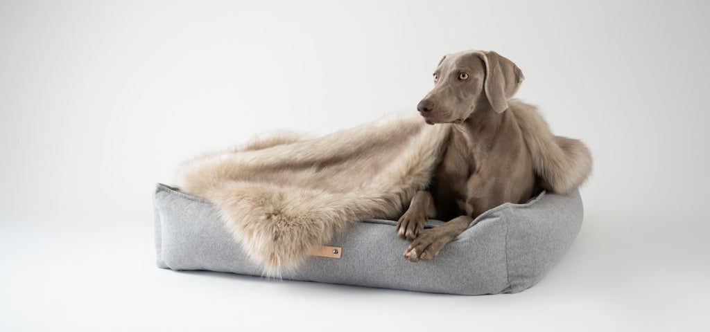 Møvik Dog Bed in grey, detail