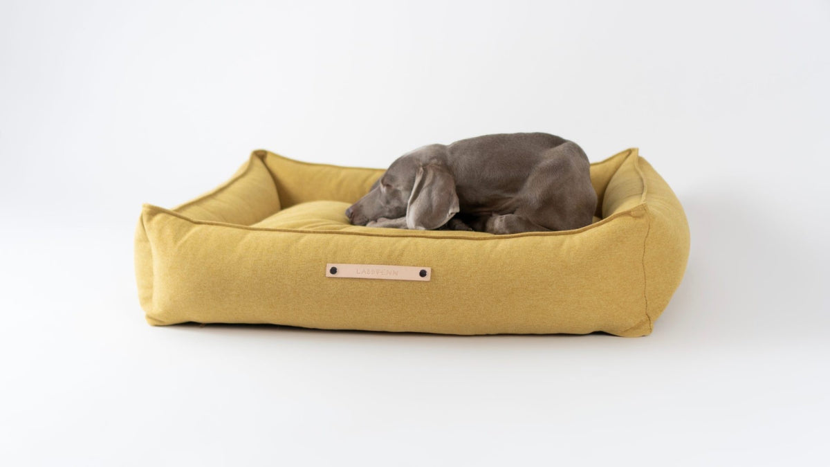Møvik Hundebett – Honig