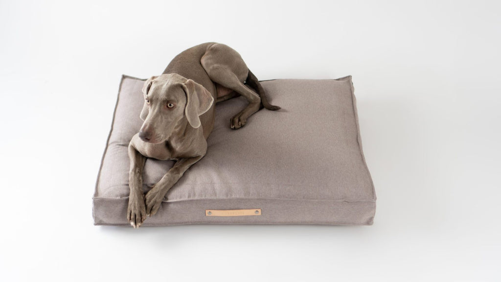 Töve Cushion - Nut 