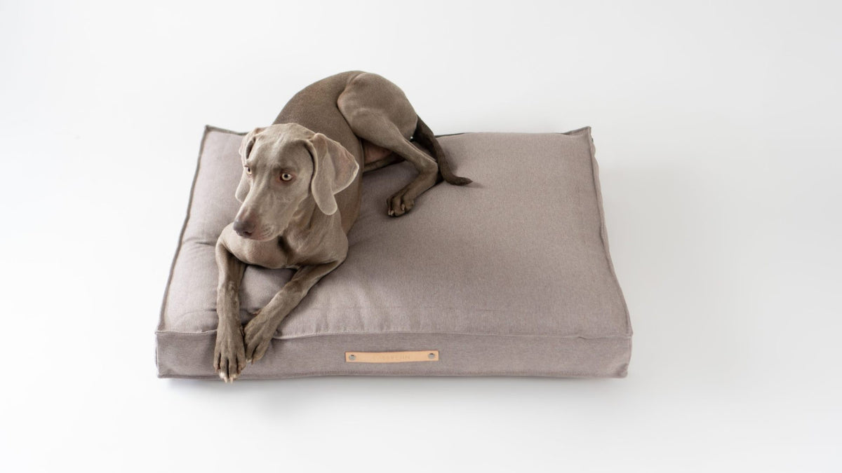 Töve Hundekissen – Nuss