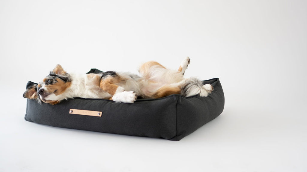 Töve Dog Bed in anthracite, detail