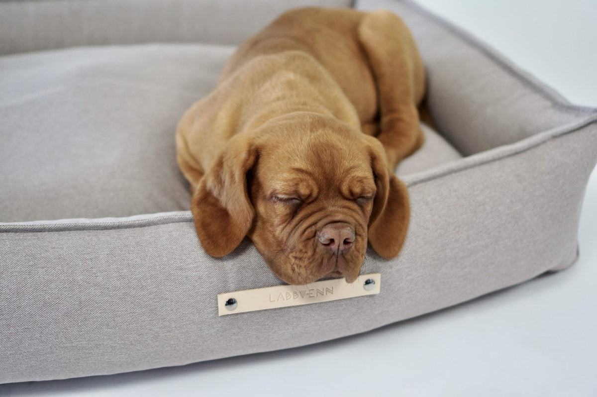 Töve Hundebett – Nuss
